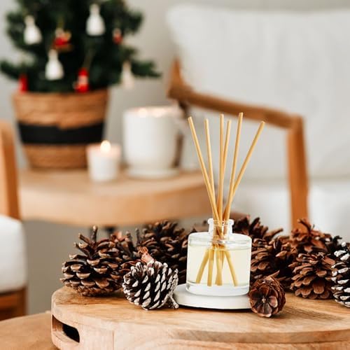 Hillhouse Naturals Balsam Fir Cedar Reed Diffuser Set