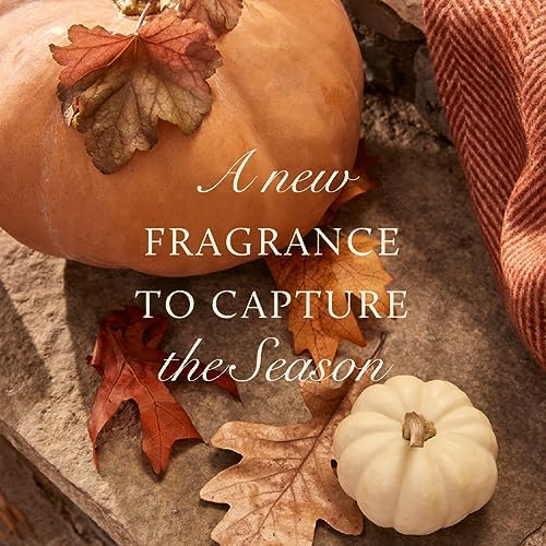 Thymes Pumpkin Laurel Pura Diffuser Refills Pack of 2
