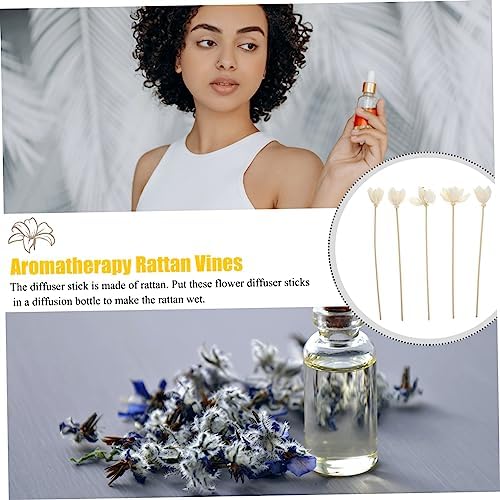 Cabilock 5pcs Rattan Diffuser Sticks for Home Decor