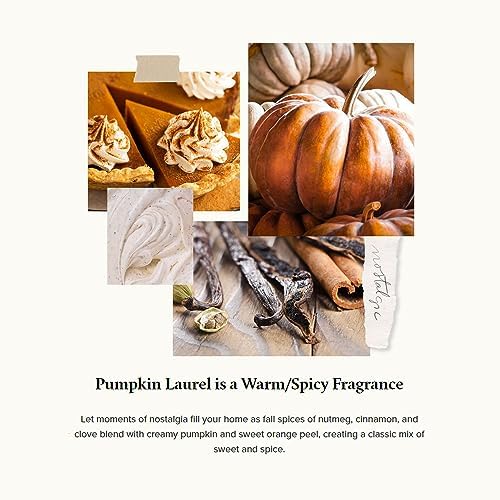 Thymes Pumpkin Laurel Pura Diffuser Refills Pack of 2