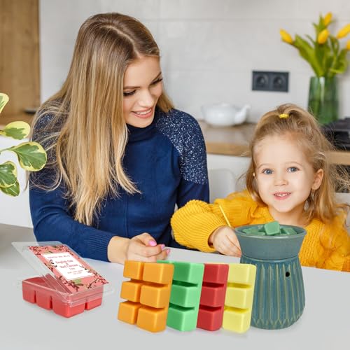 BINYUAN Summer Tropical Soy Wax Blocks with 8 Fragrance Sets