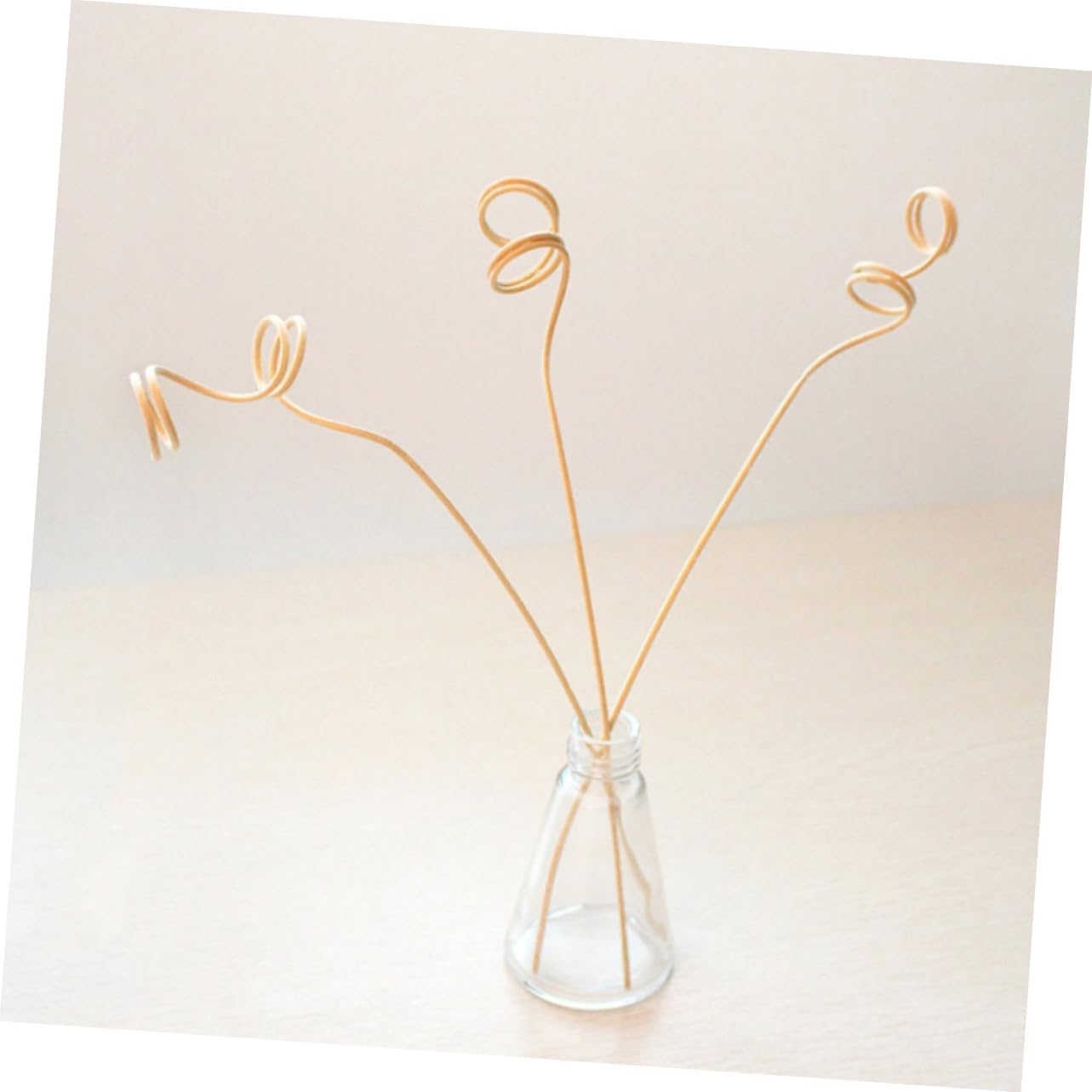 Garneck 12Pcs Aromatic Diffuser Sticks Set