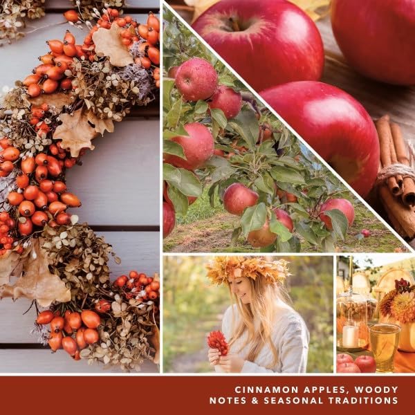 Yankee Candle Autumn Wreath Scent Plug Refill Pack of 6
