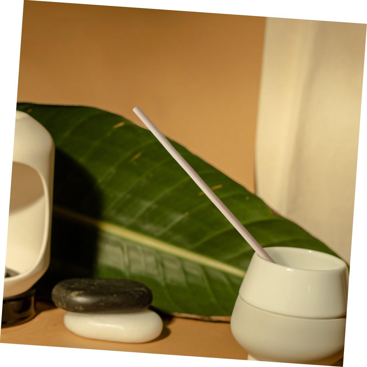 100Pcs Rattan Diffuser Sticks for Home Fragrance