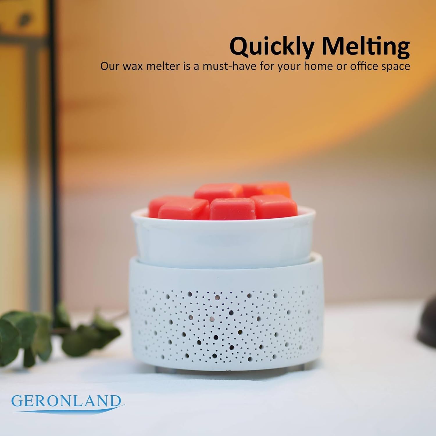 Geronland 3-in-1 Electric Wax Melter with Light for Aromatherapy