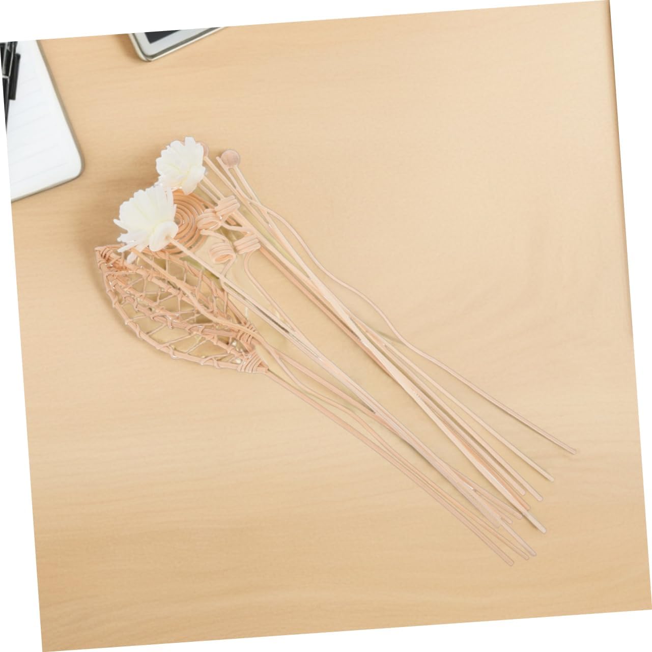 24Pcs Rattan Diffuser Sticks for Home Fragrance