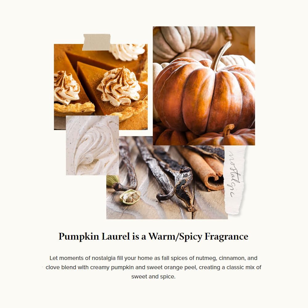 Thymes Pumpkin Laurel Pura Diffuser Refills Pack of 2
