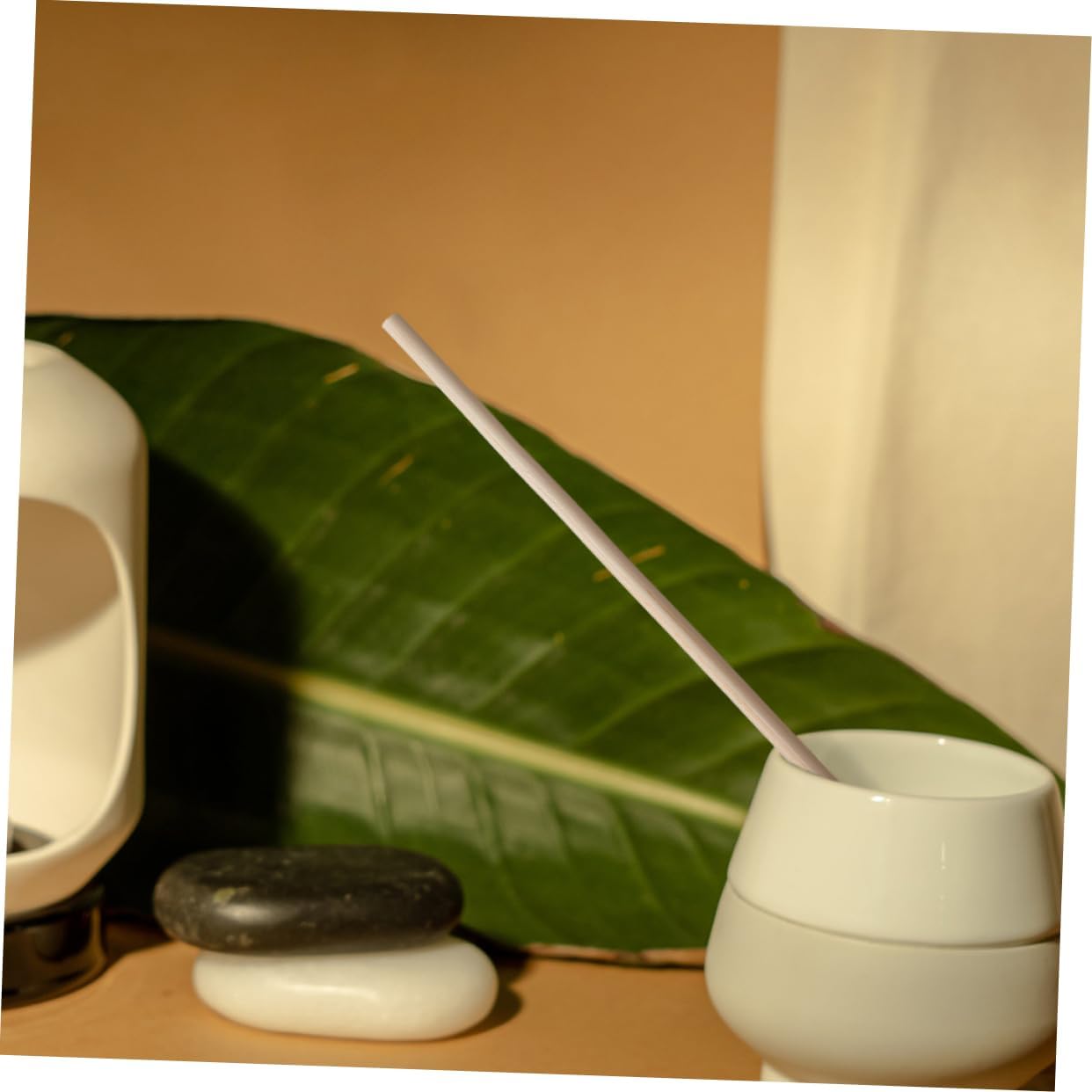 100Pcs Natural Rattan Diffuser Sticks for Aromatherapy