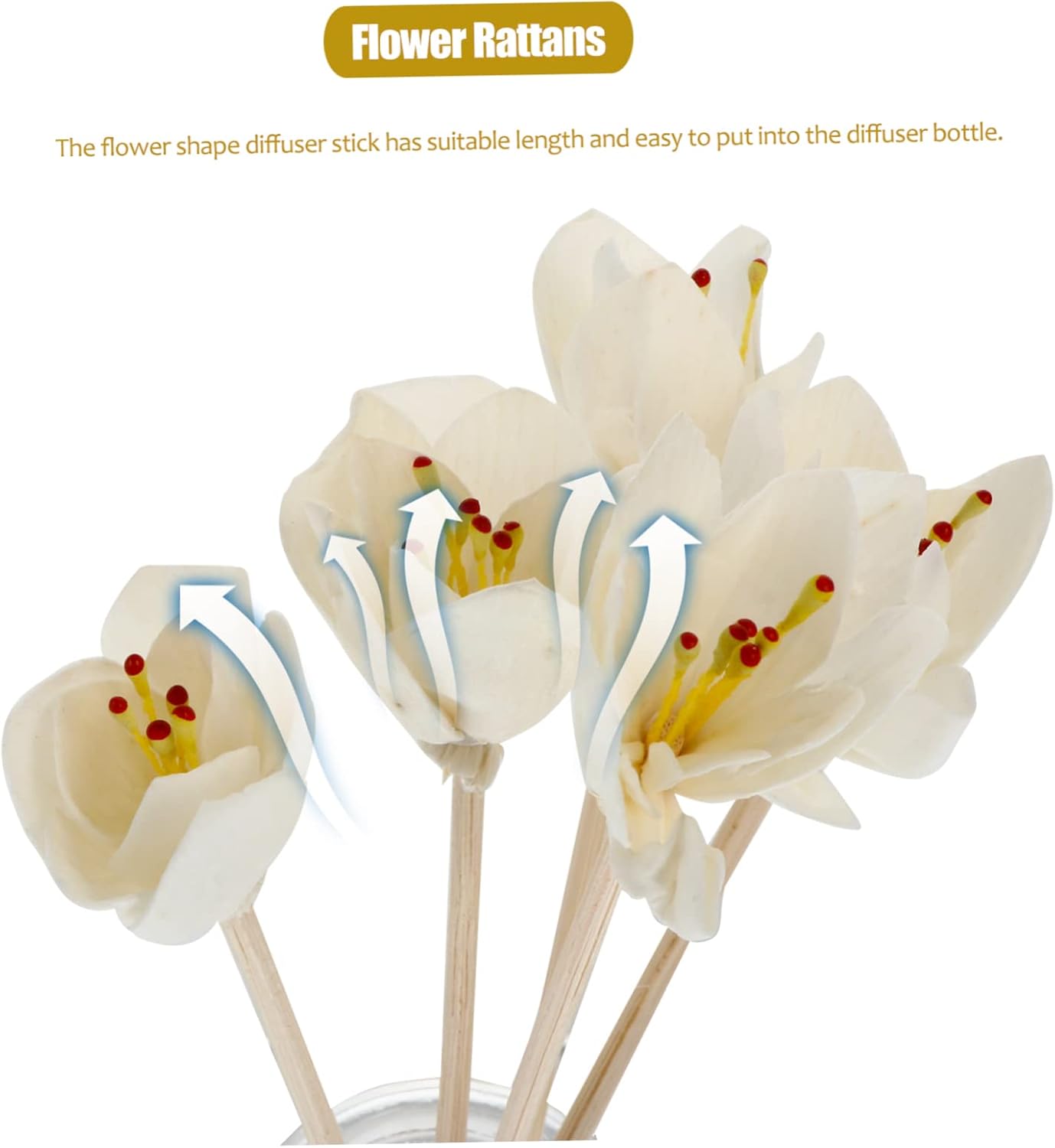 BESPORTBLE 5pcs Wicker Diffuser Sticks for Home Fragrance