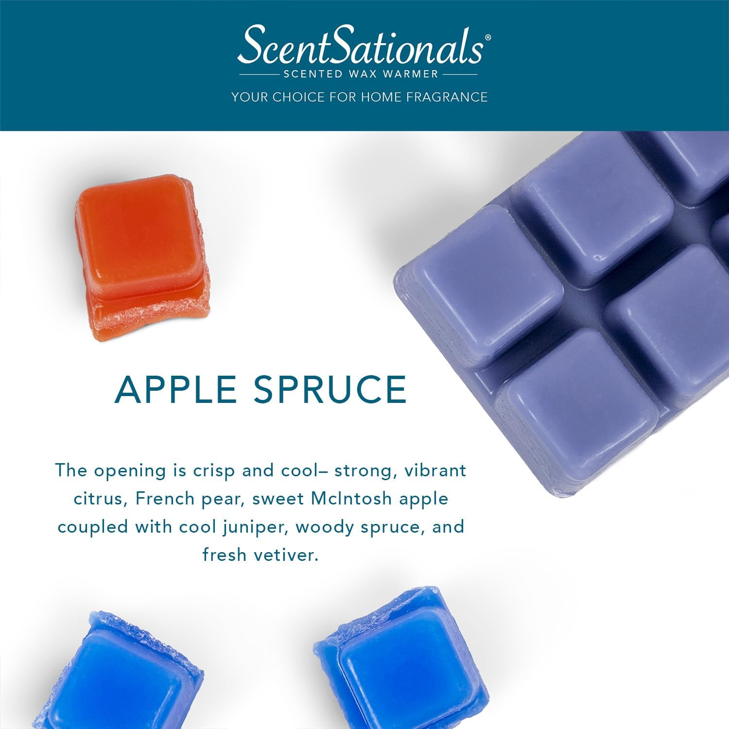 Scentsationals Scented Wax Melts Holiday Collection 4-Pack Apple Spruce