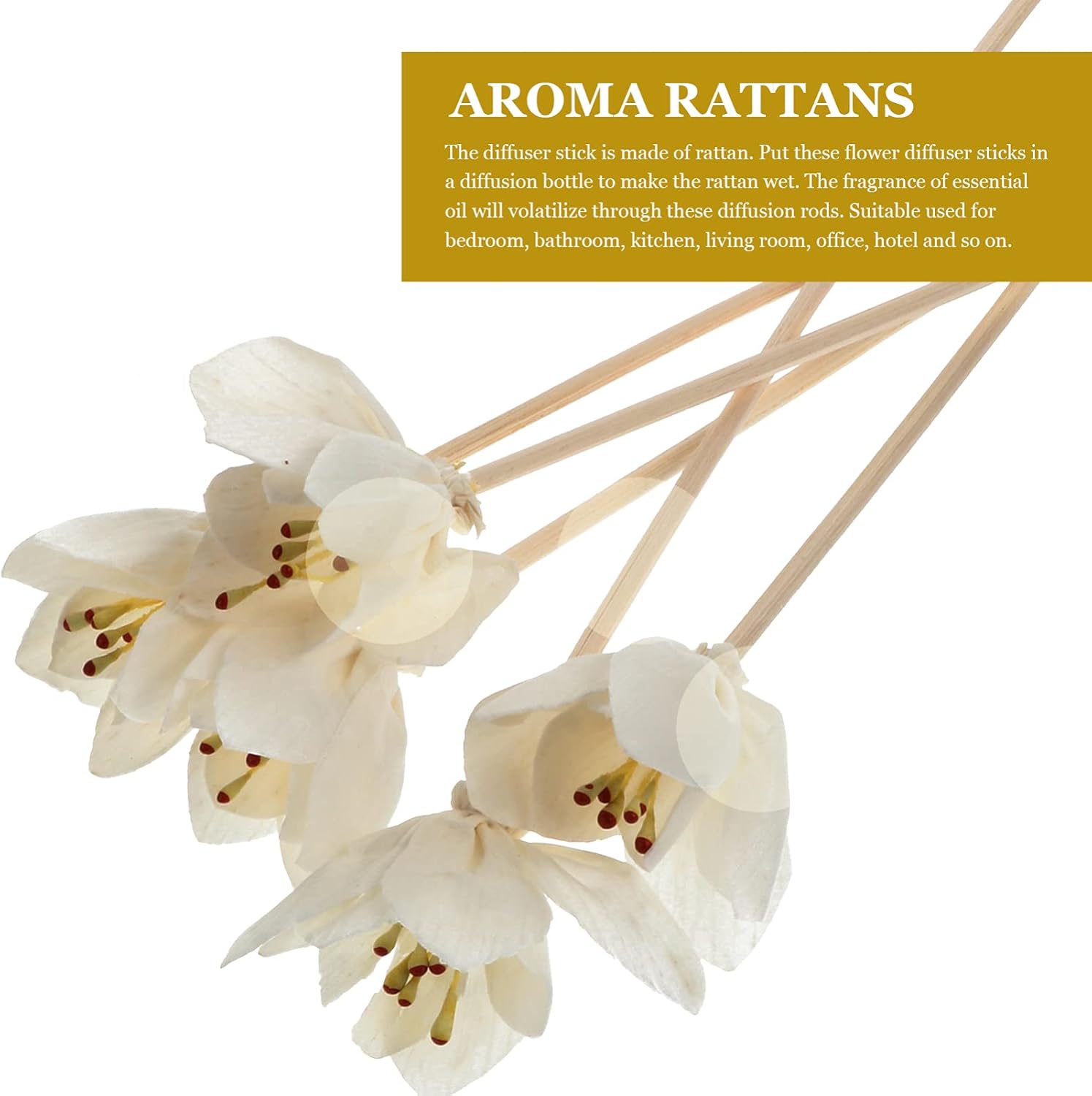DOITOOL 5pcs Rattan Sticks for Diffusers