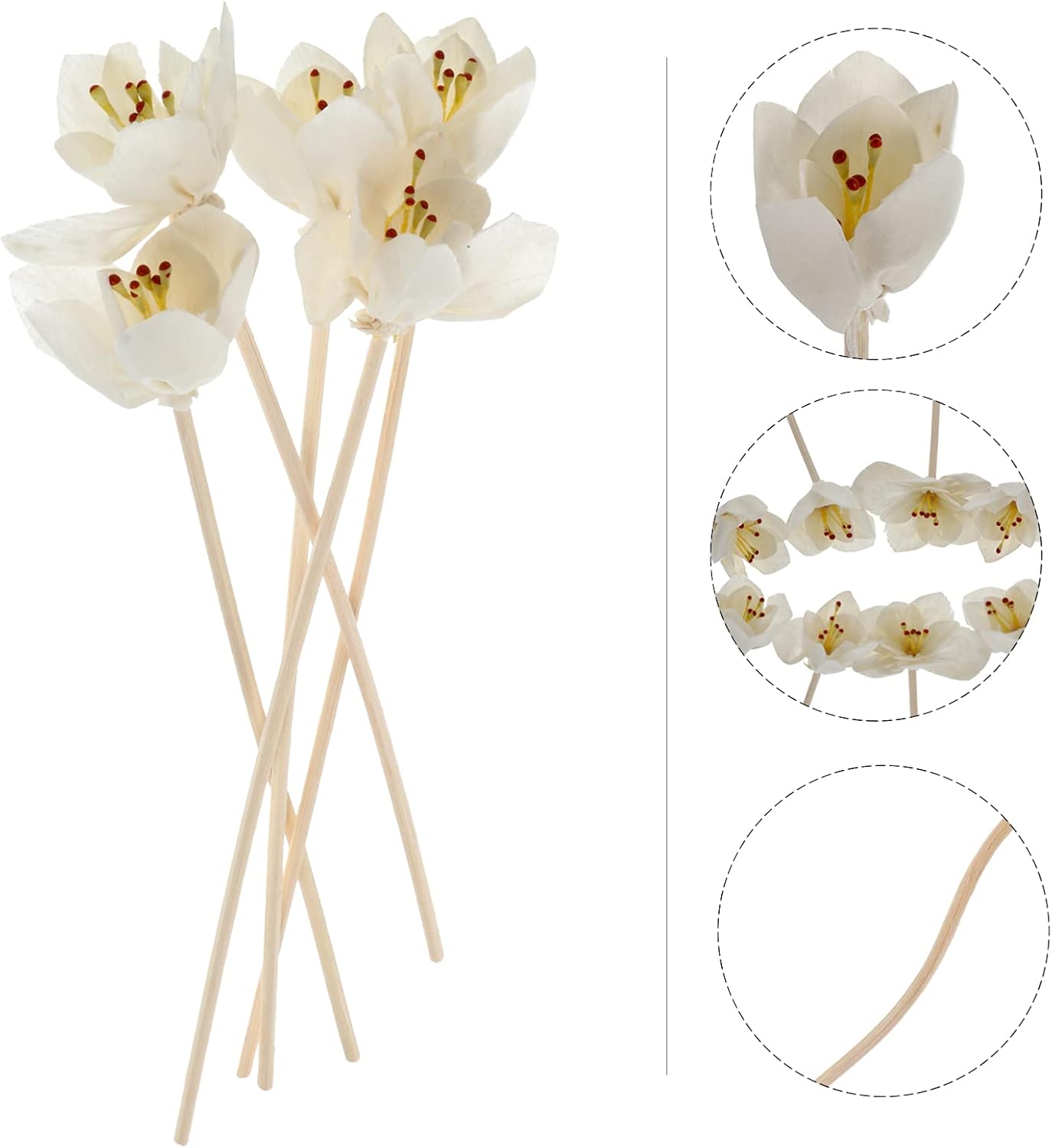 DOITOOL 5pcs Rattan Sticks for Diffusers