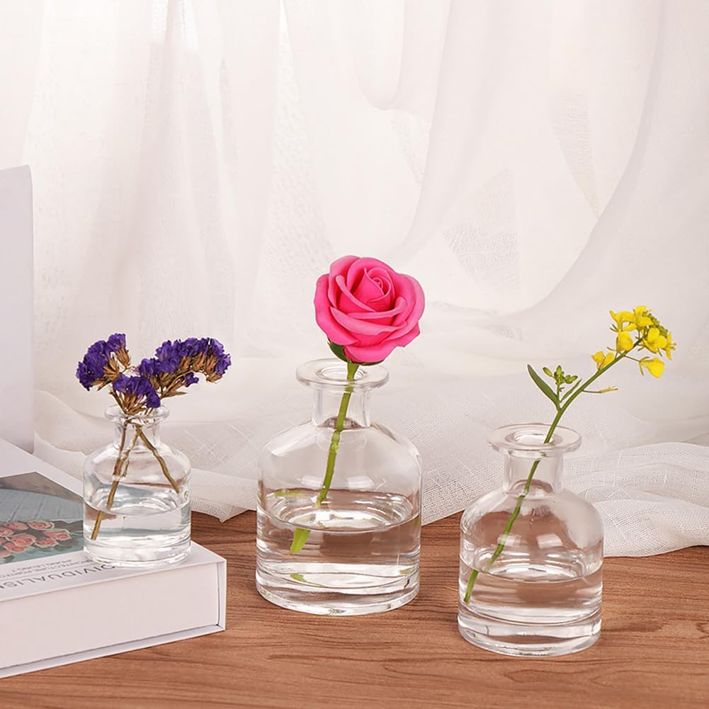 150ml Glass Diffuser Bottle for Aromatherapy and Decor