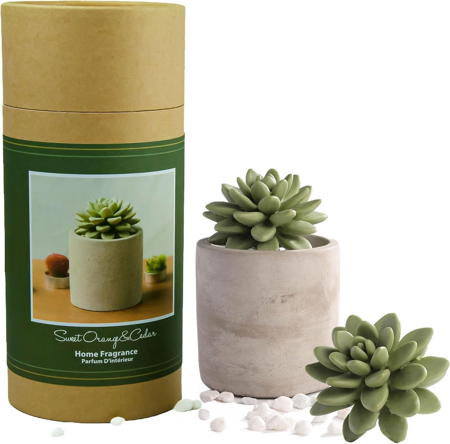 Pretty Valley Home Succulent Diffuser Vase Set Sweet Orange Cedar 100ml
