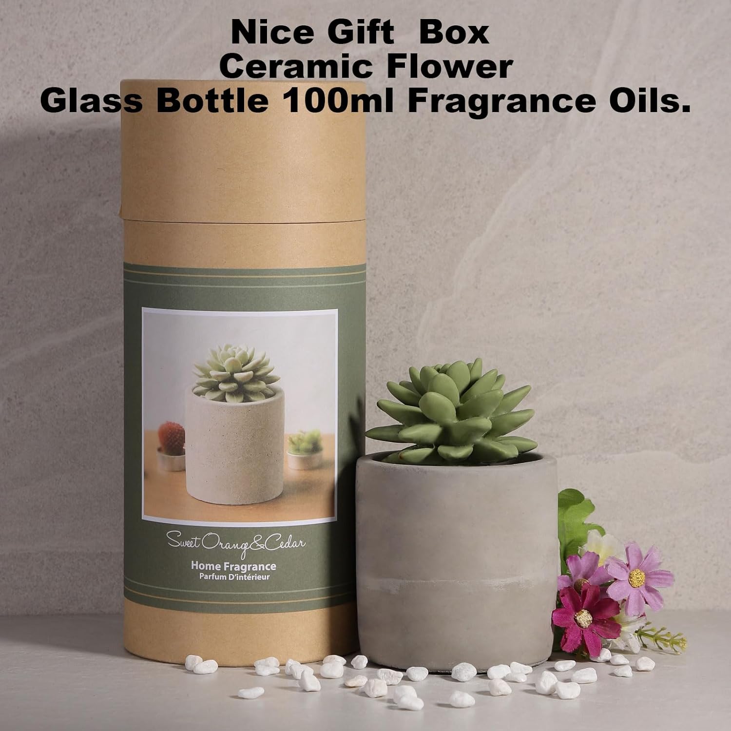 Pretty Valley Home Succulent Diffuser Vase Set Sweet Orange Cedar 100ml