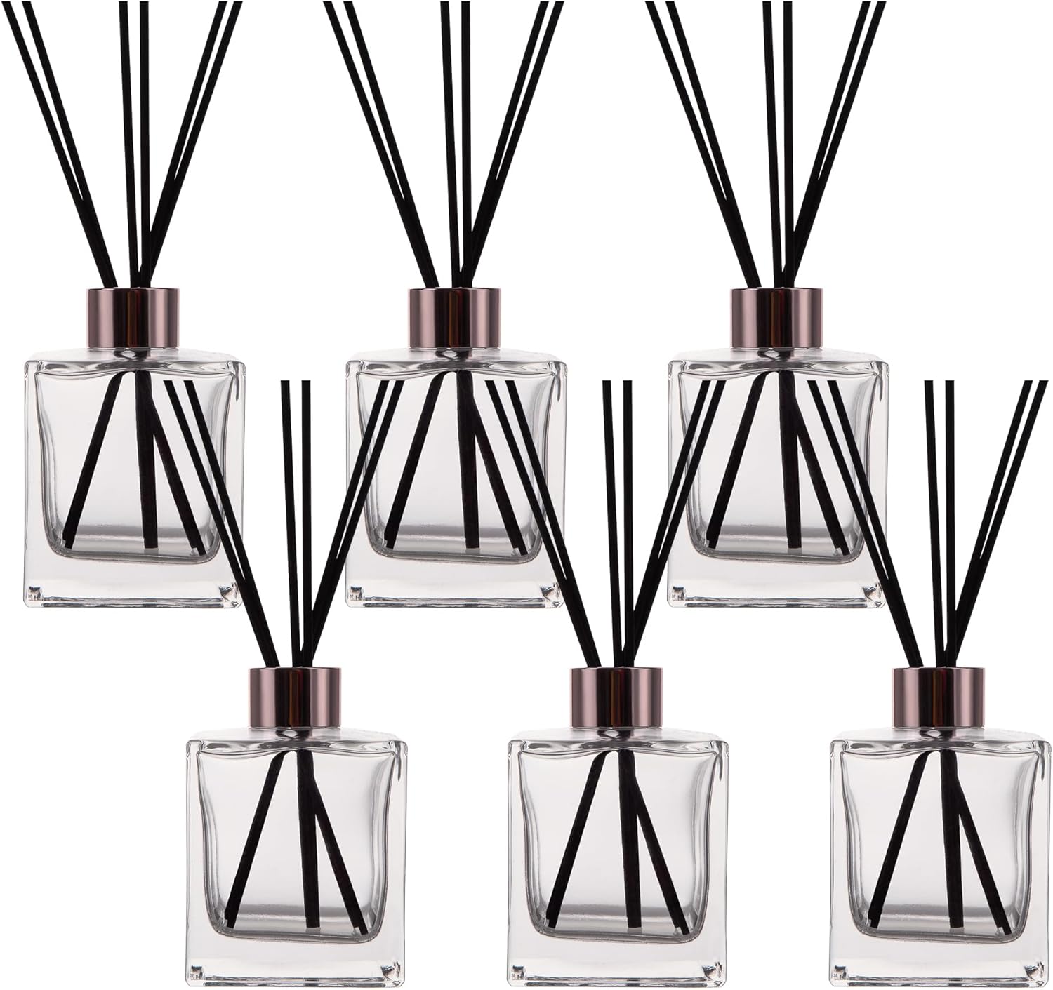 6 Pack Transparent Glass Diffuser Bottles with Black Sticks
