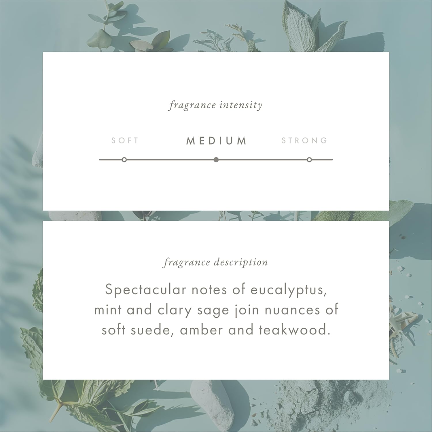 Monthly Fragrance Cartridge - Australian Coast by ScentAir