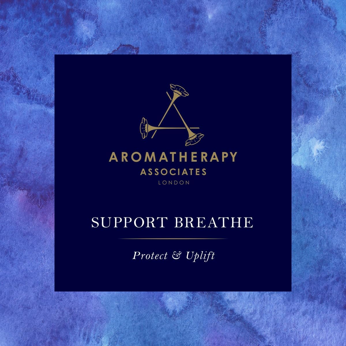 Aera Mini Support Breathe Scent Refill - Eucalyptus Tea Tree Pine