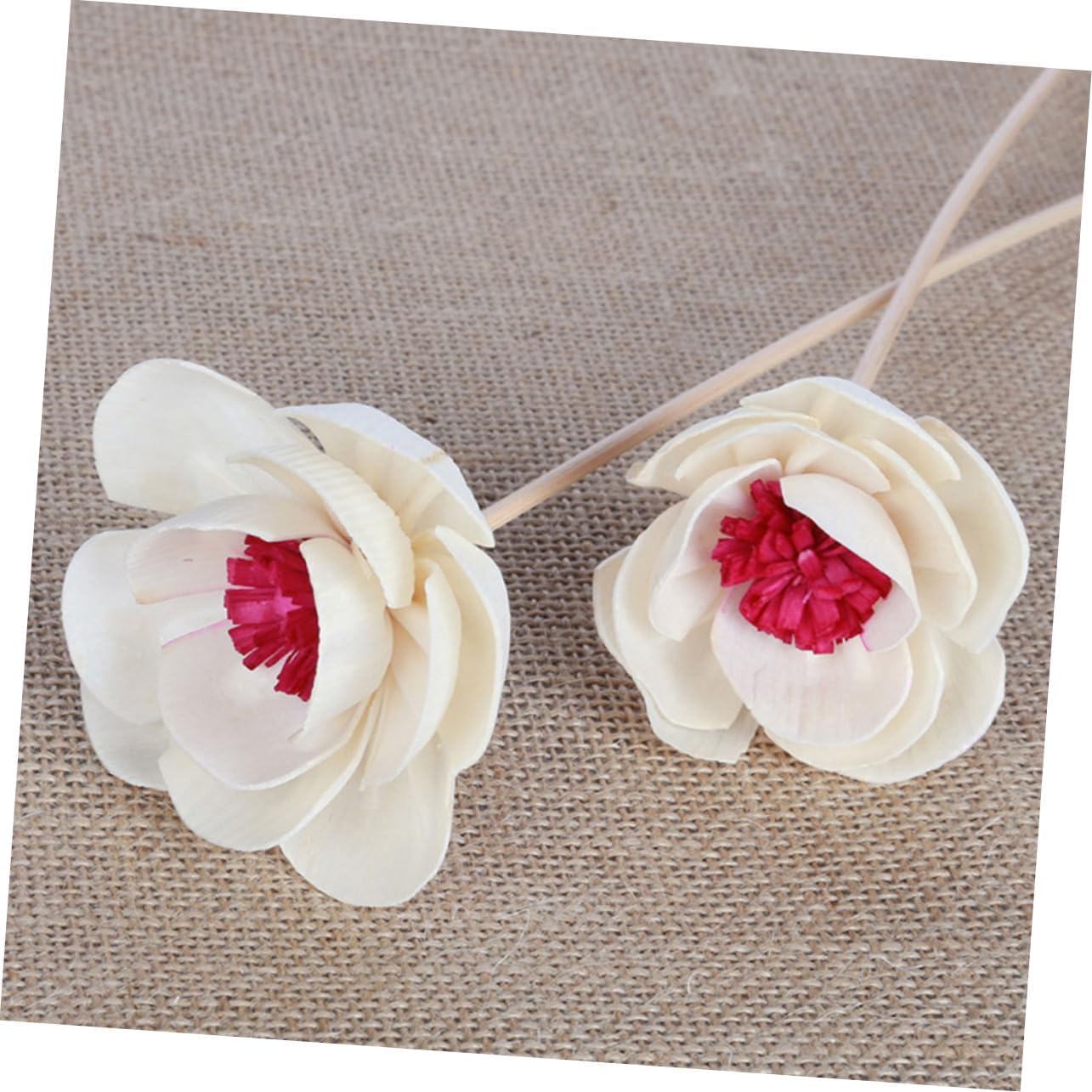 Garneck 3Pcs Dried Flower Diffuser Sticks Aromatherapy Decor