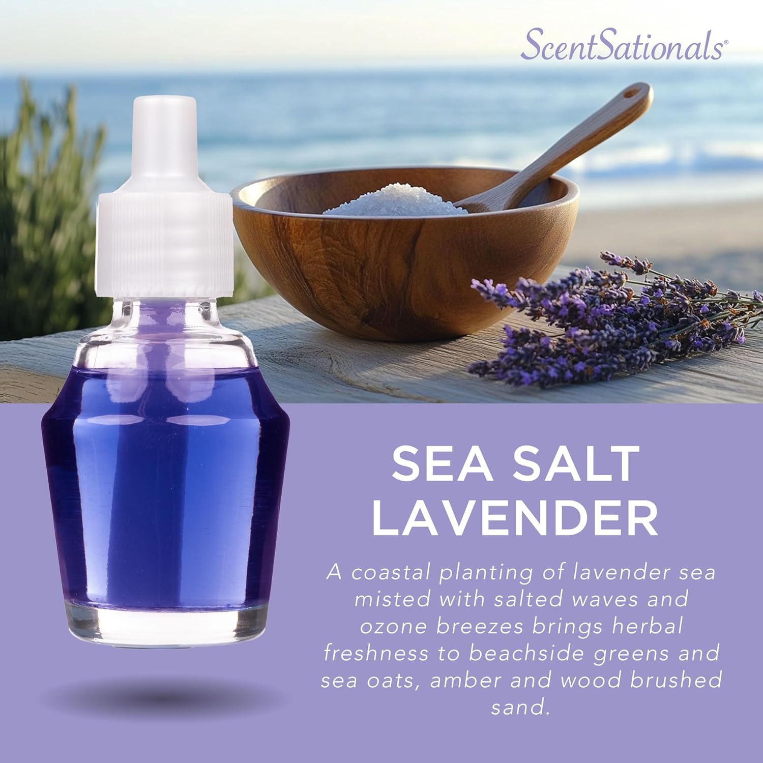 Scentsationals Fragrance Oil Refill 3-Pack - Sea Salt Lavender