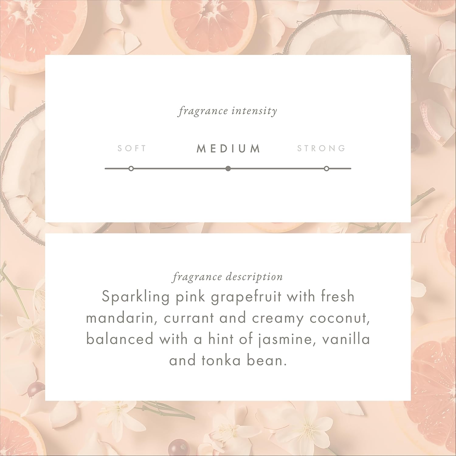 Monthly Fragrance Cartridge for Whisper Home Dark Vanilla Pomelo