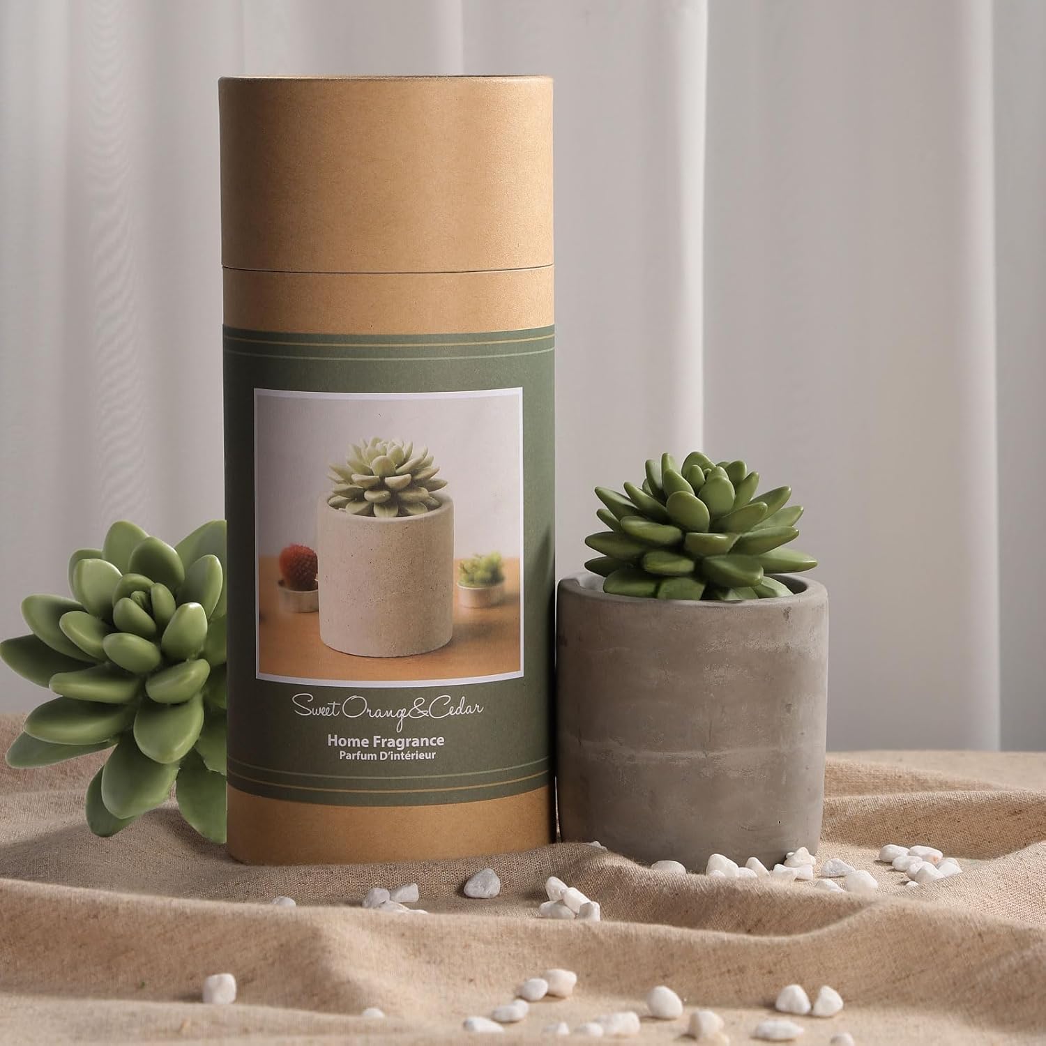 Pretty Valley Home Succulent Diffuser Vase Set Sweet Orange Cedar 100ml