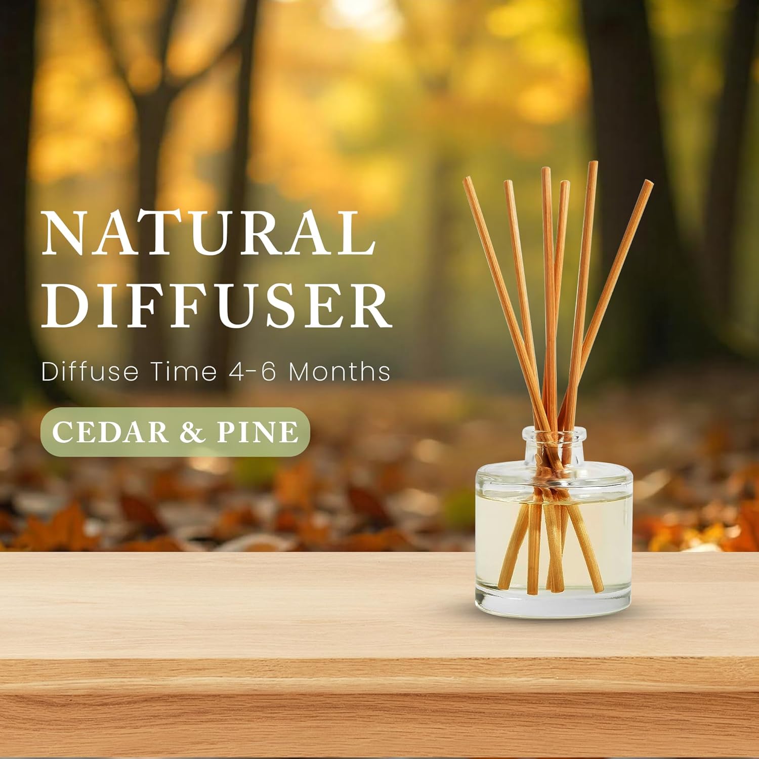 Hillhouse Naturals Cedar Pine Reed Diffuser Set