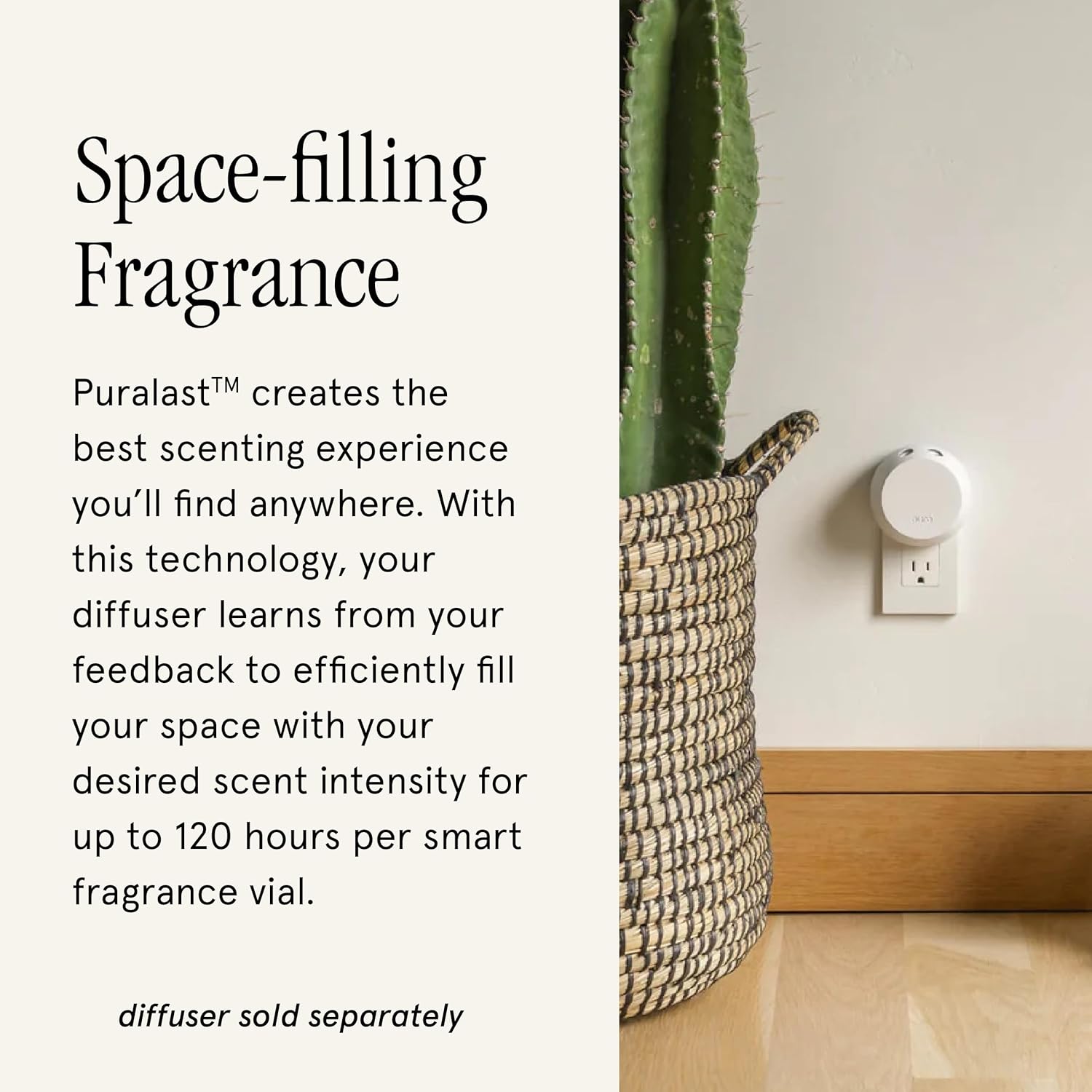 Pura Smart Home Air Diffuser - Cinnamon Woods 2 Pack