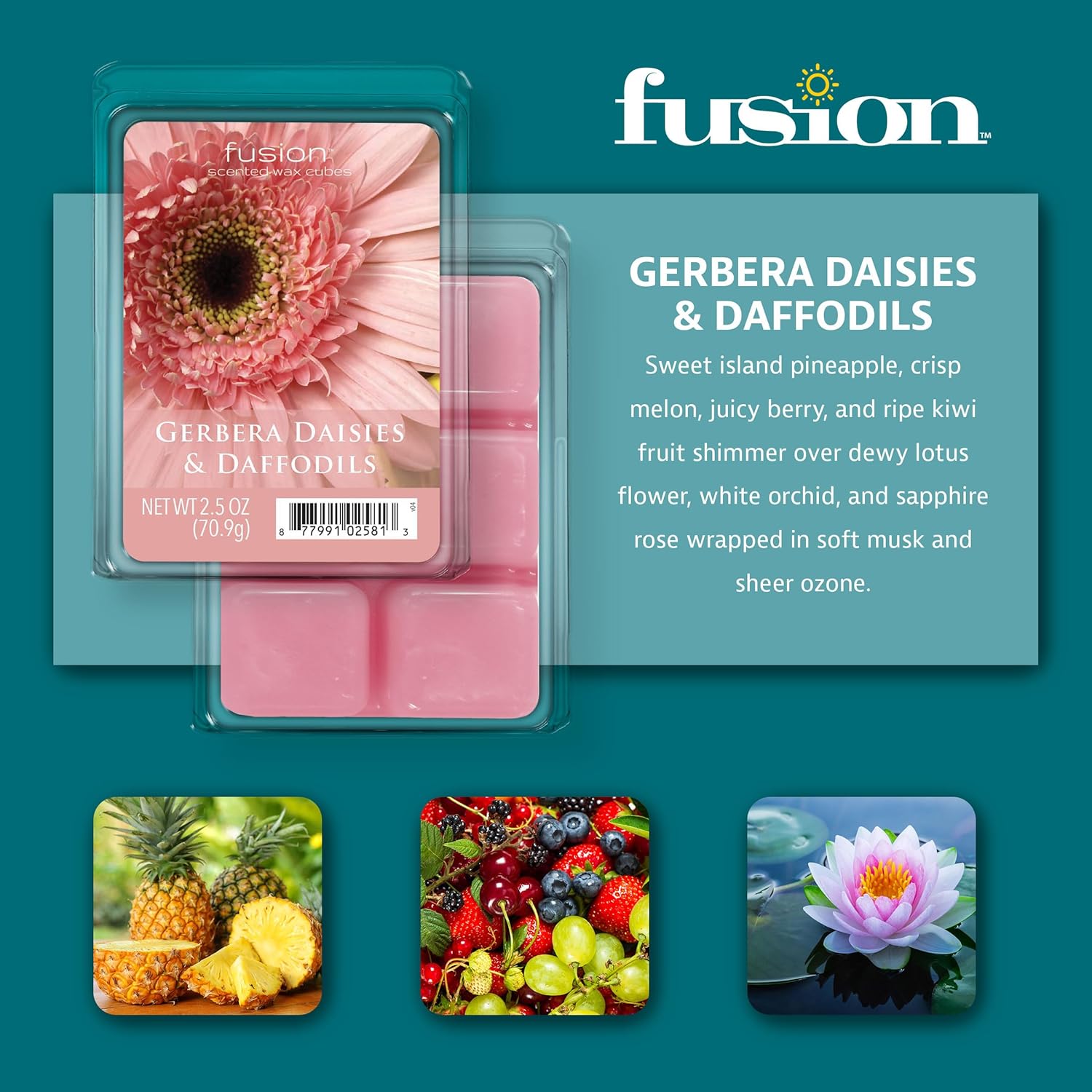 FUSION Scented Wax Melts - Gerbera Daisies Daffodils 3-Pack
