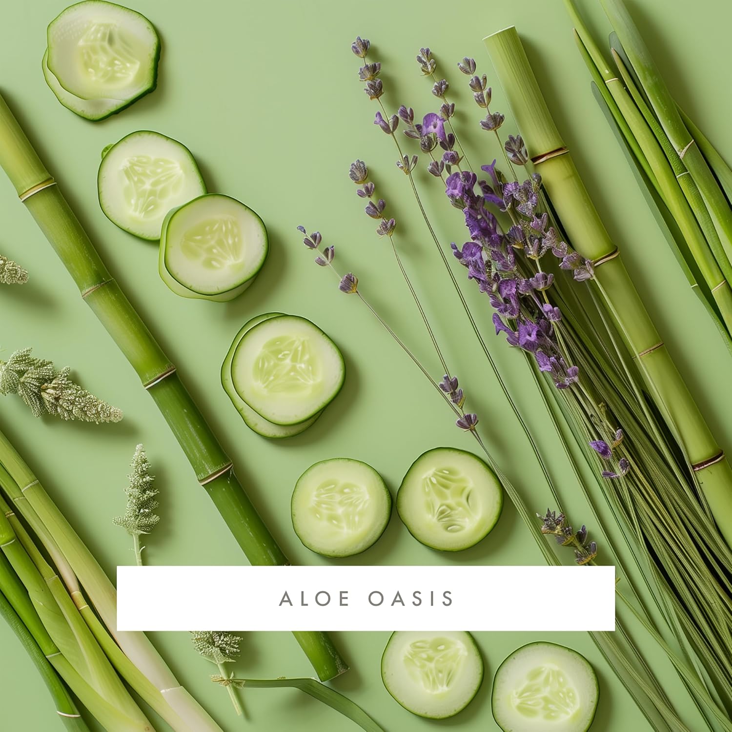 ScentAir Monthly Fragrance Cartridge for Whisper Home Aloe Oasis Pet Calming
