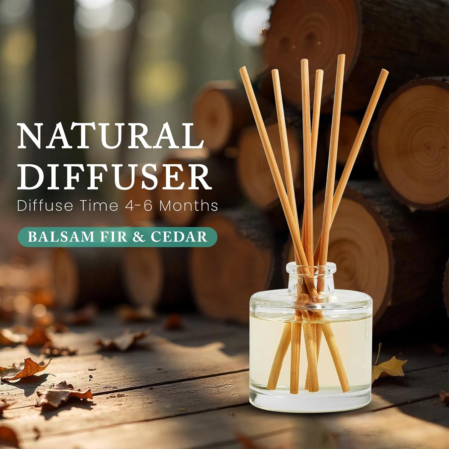 Hillhouse Naturals Balsam Fir Cedar Reed Diffuser Set