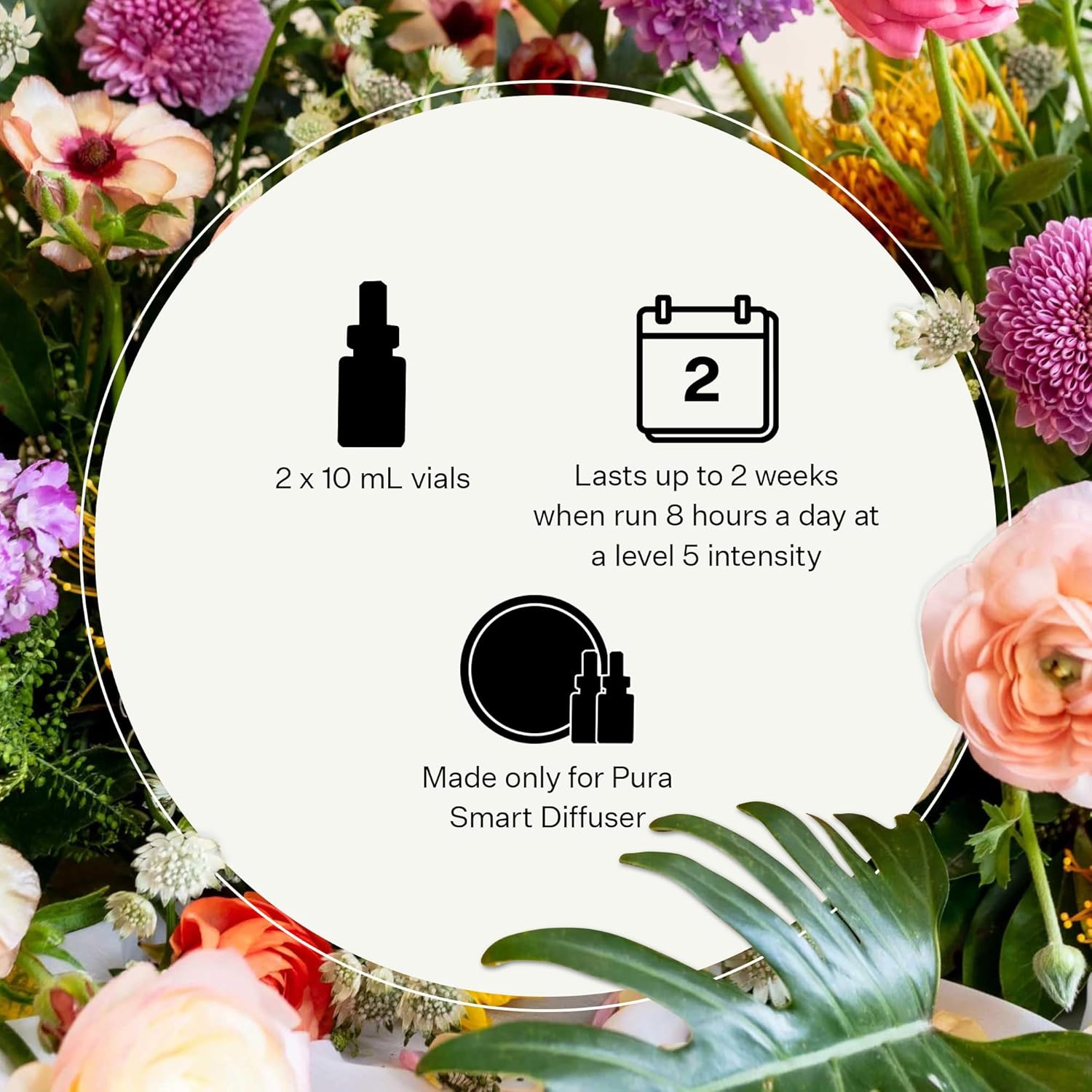 Pura Smart Diffuser Refills - Charcoal 2-Pack by Apotheke