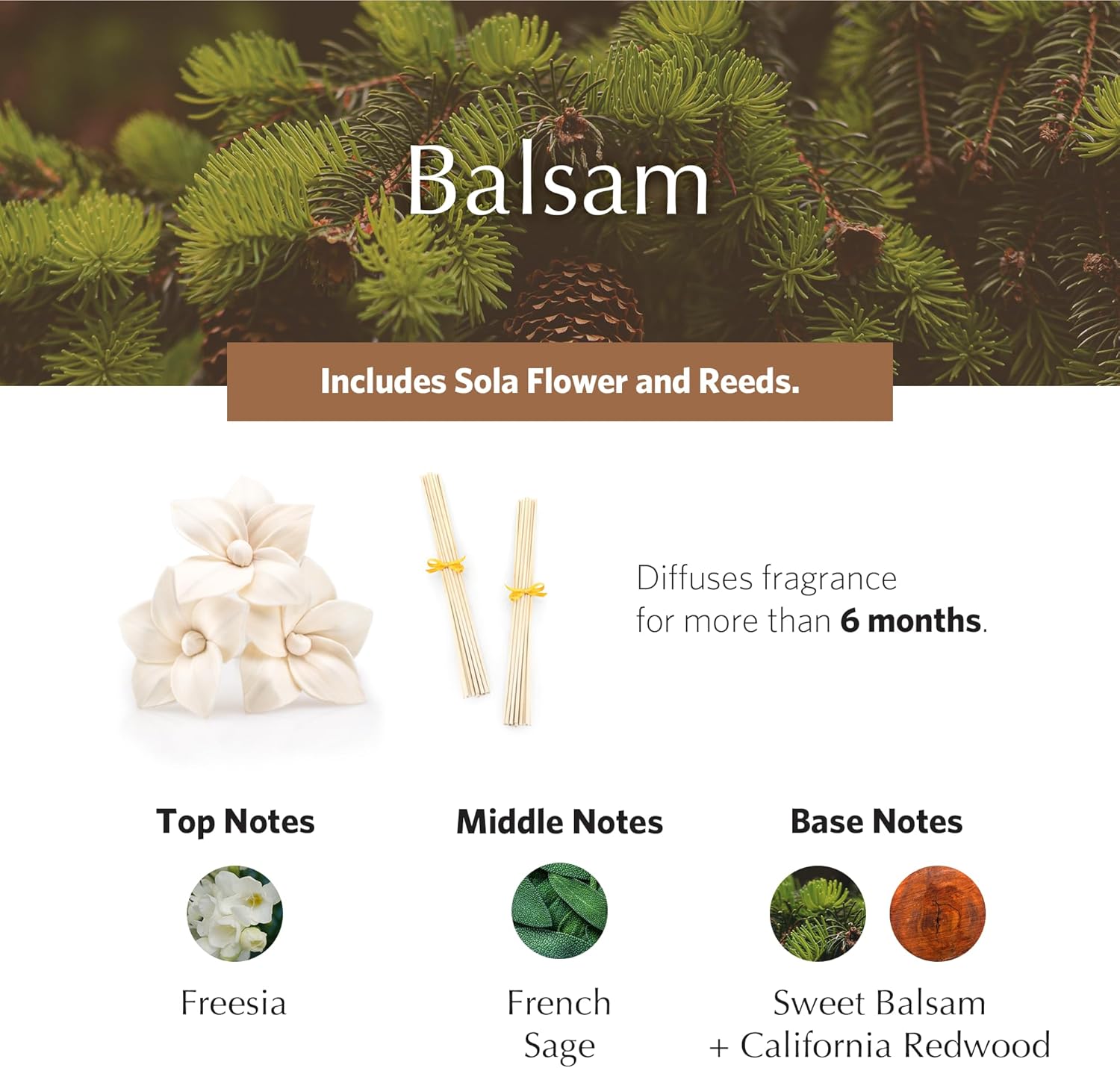 AGRARIA AirEssence Flower and Reed Diffuser Set