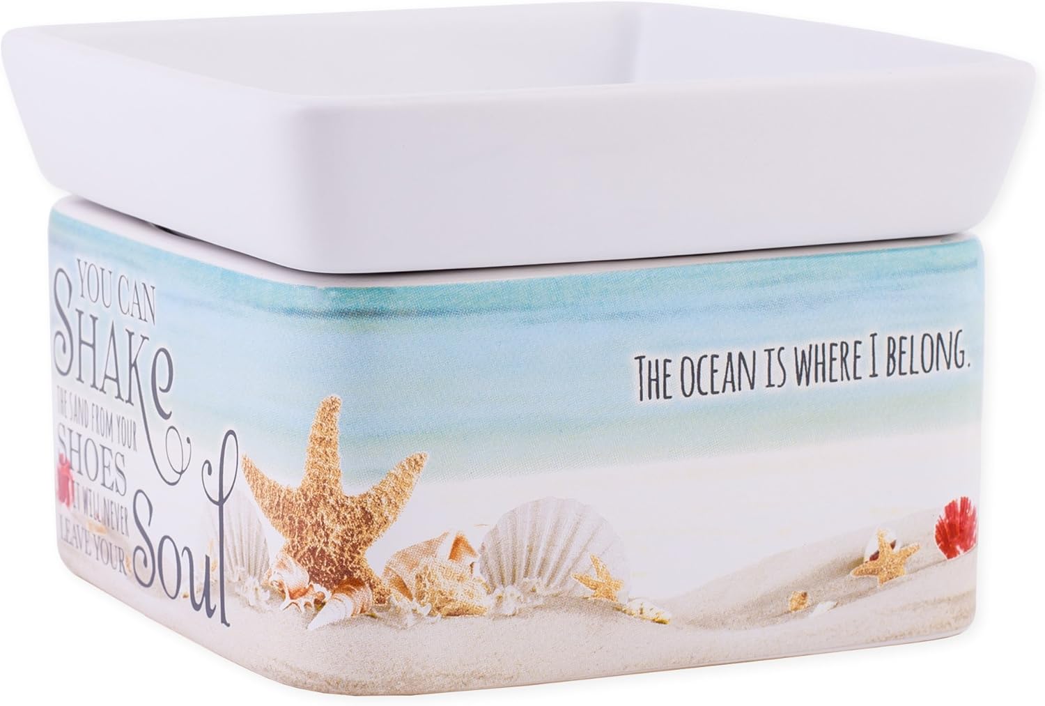 Elanze Designs 2-in-1 Jar Candle and Wax Tart Warmer