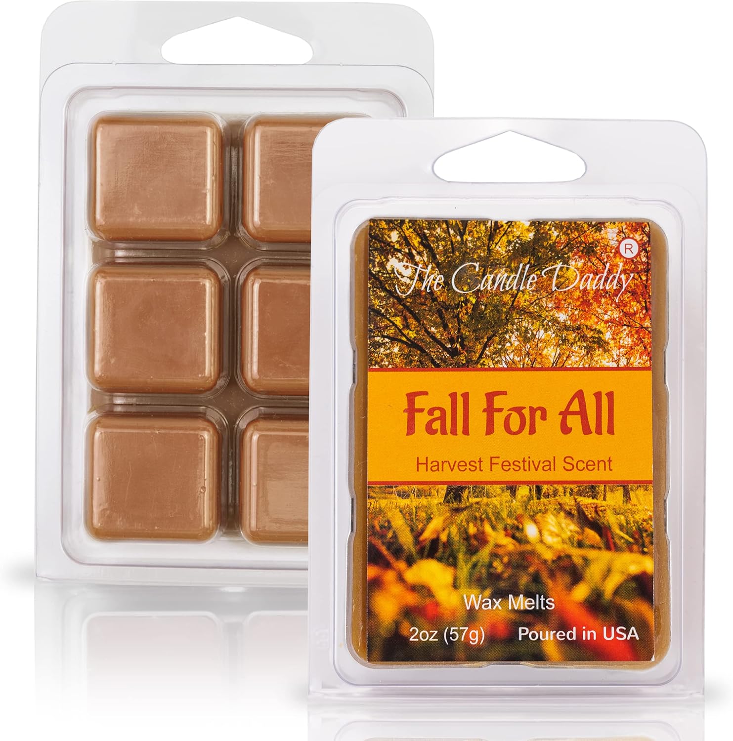 Fall for All Harvest Festival Scented Wax Melt 2 Oz 6 Cubes