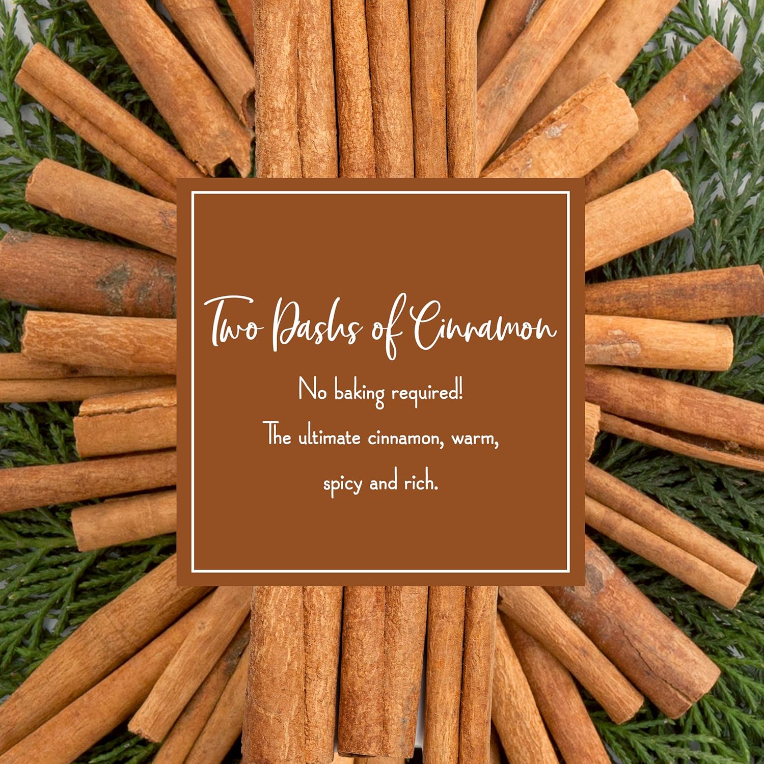 Enviroscent Scentsicles Scented Christmas Ornaments with Cinnamon Fragrance 6 Pieces