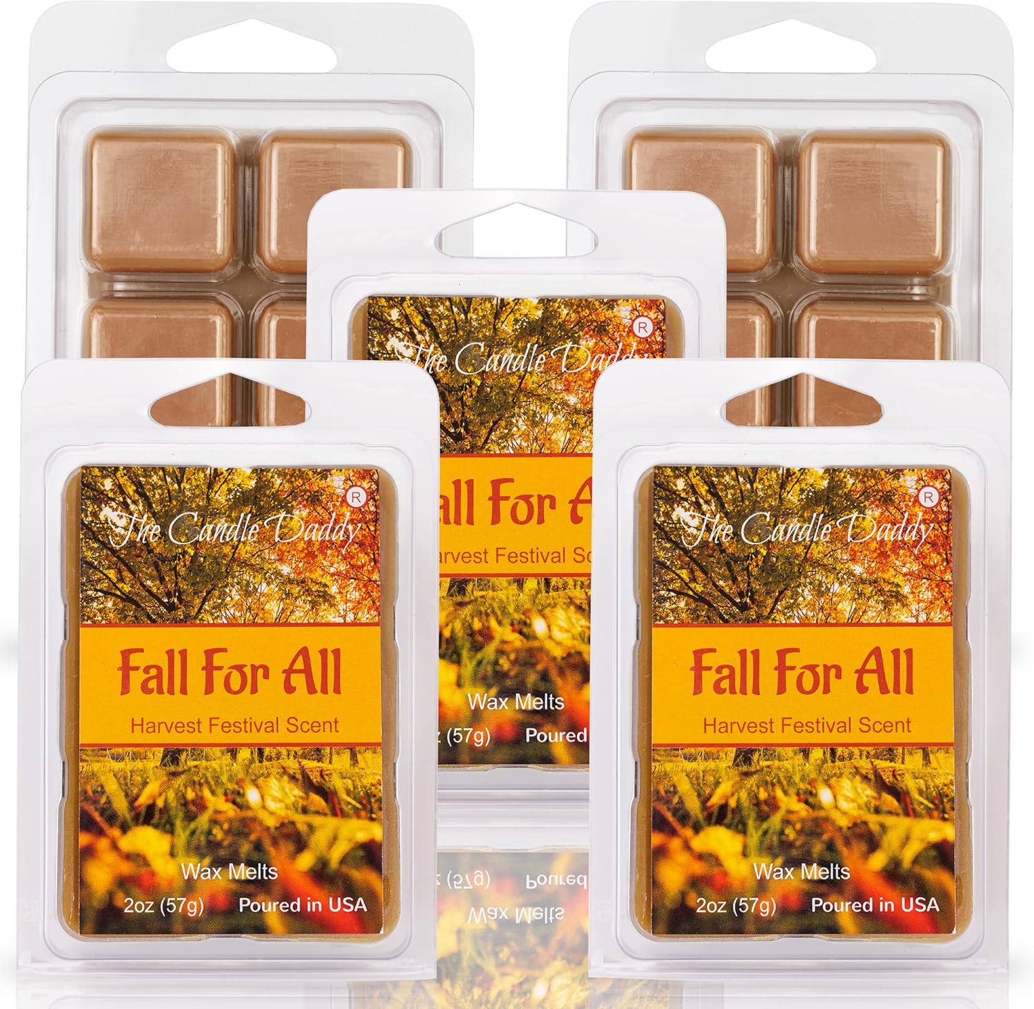 Fall for All Harvest Festival Scented Wax Melt 2 Oz 6 Cubes