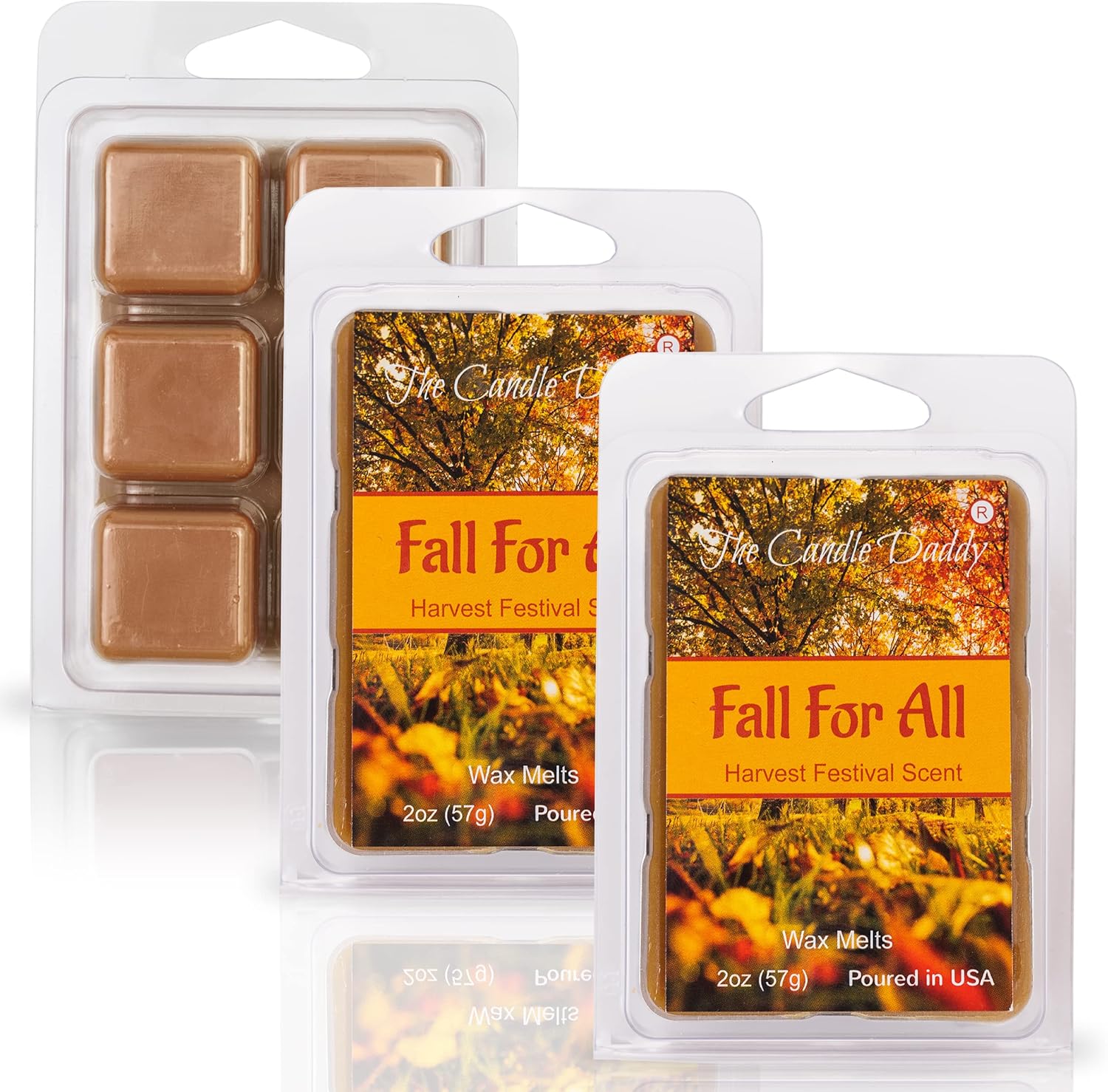 Fall for All Harvest Festival Scented Wax Melt 2 Oz 6 Cubes
